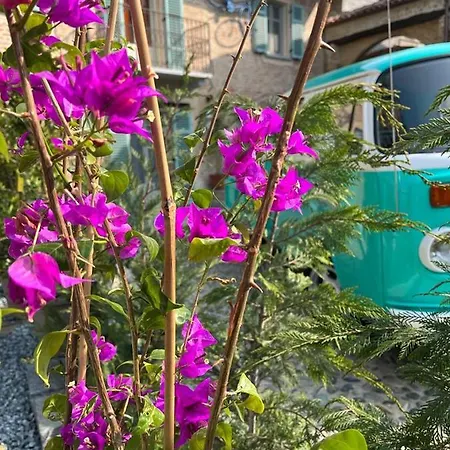 Апартаменты Cico *